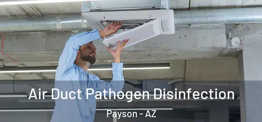  Air Duct Pathogen Disinfection Payson - AZ