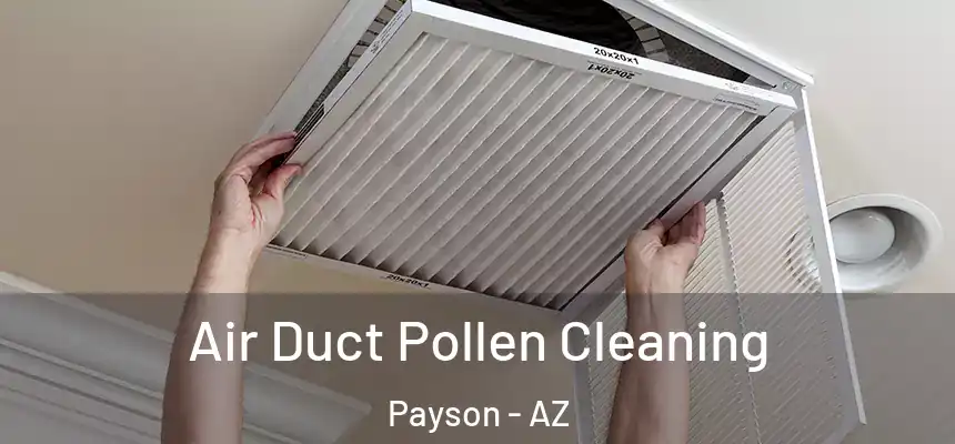  Air Duct Pollen Cleaning Payson - AZ