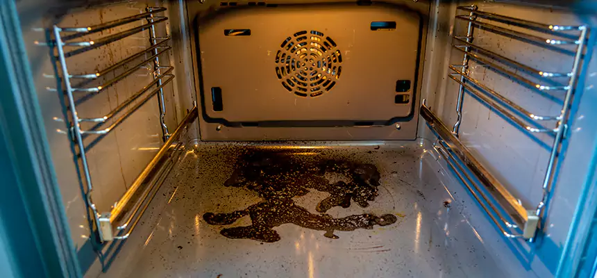 Our Dryer Vent Mold Cleaning Services in Payson, AZ