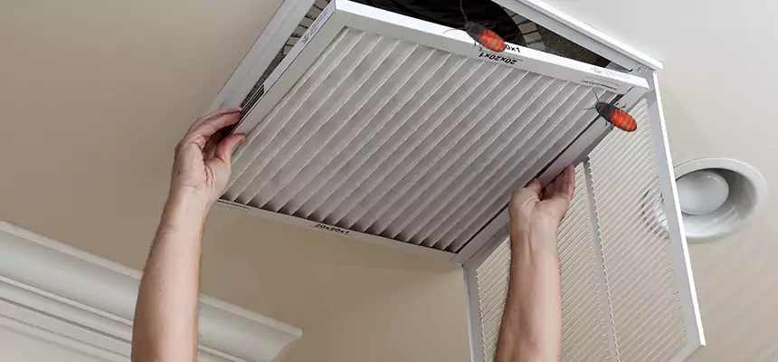 Our Insect Removal from Air Ducts Services in Payson, AZ