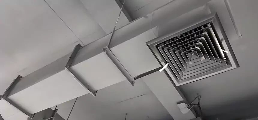 Our Pest Removal From Ducts Services in Payson, AZ