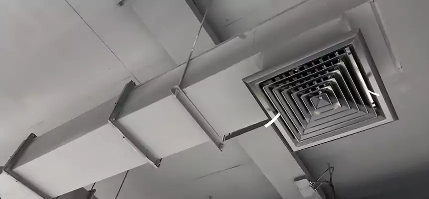 Our Rodent Droppings In Vents Services in Payson, AZ