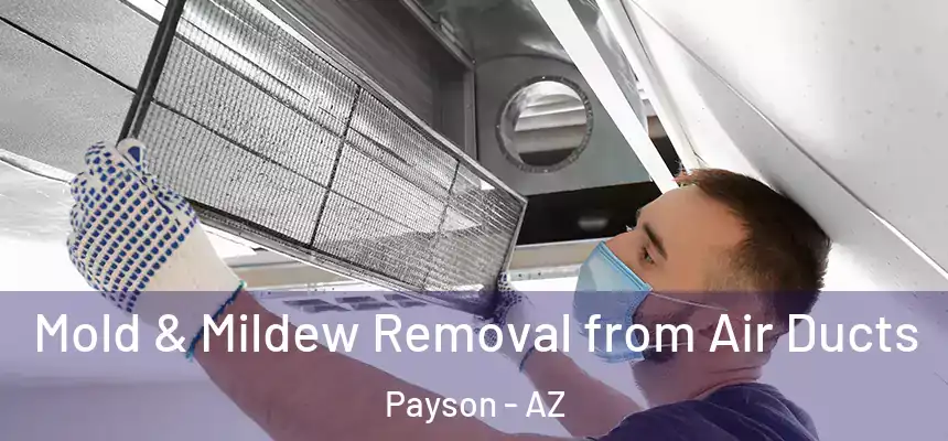  Mold & Mildew Removal from Air Ducts Payson - AZ