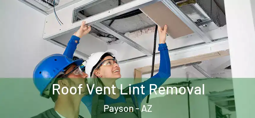  Roof Vent Lint Removal Payson - AZ