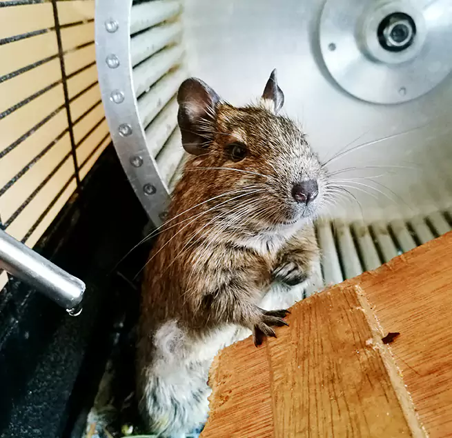 Why Homeowners & Businesses Trust Us Payson, AZ?